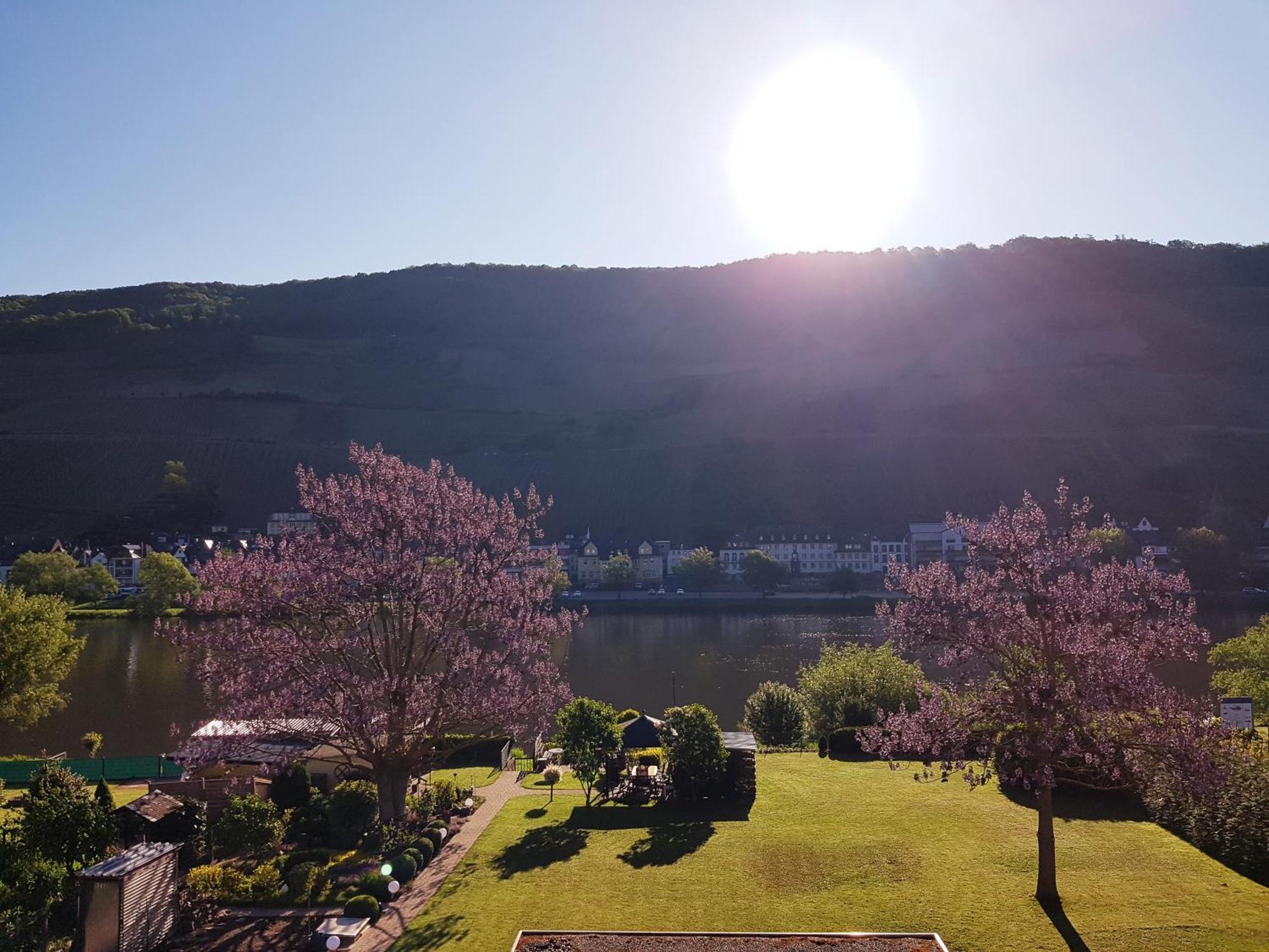 Apartament Zum Blauglockenbaum Zell an der Mosel Zewnętrze zdjęcie